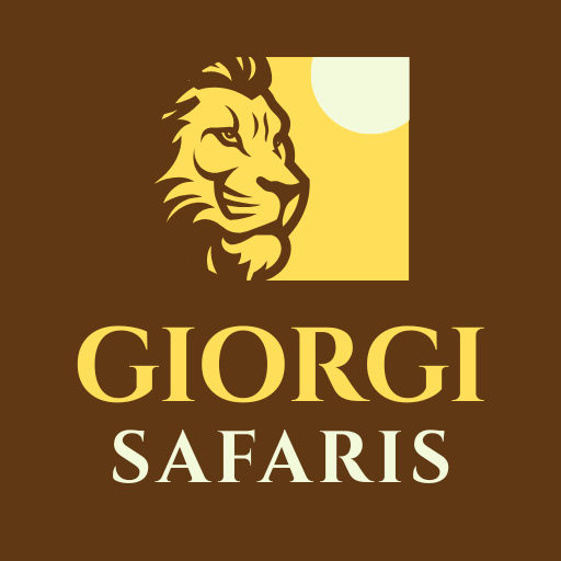 Giorgi Safaris
