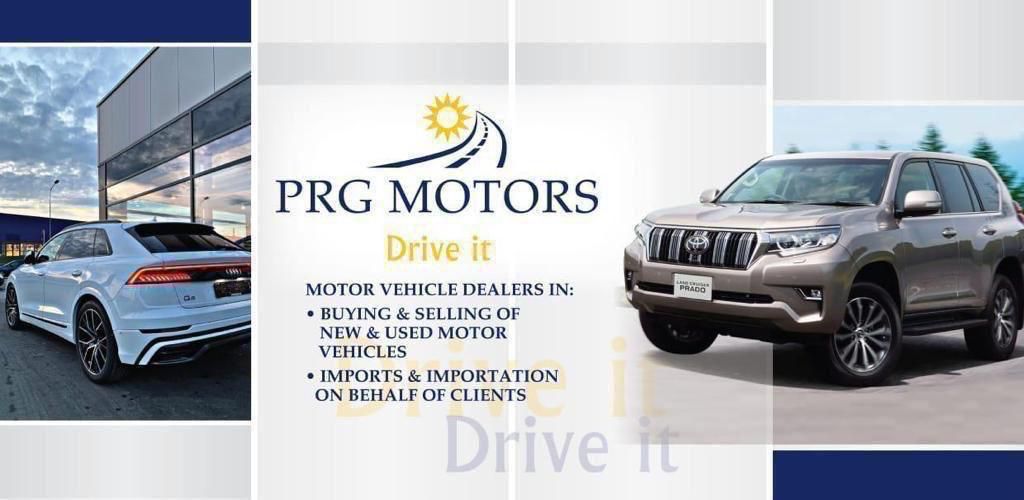 PRG MOTORS LTD