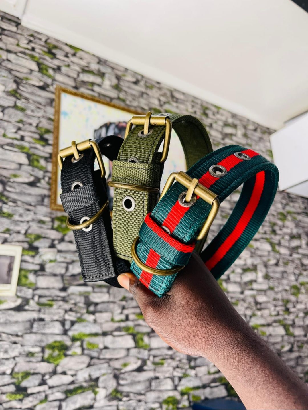 Heavy Duty Canvas Collar