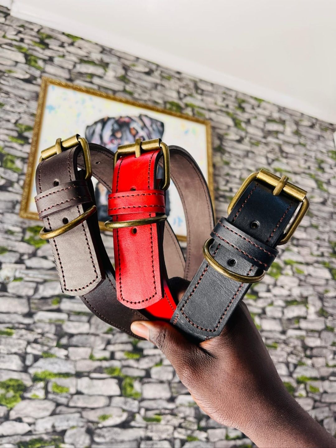 Heavy Duty Canvas Collar