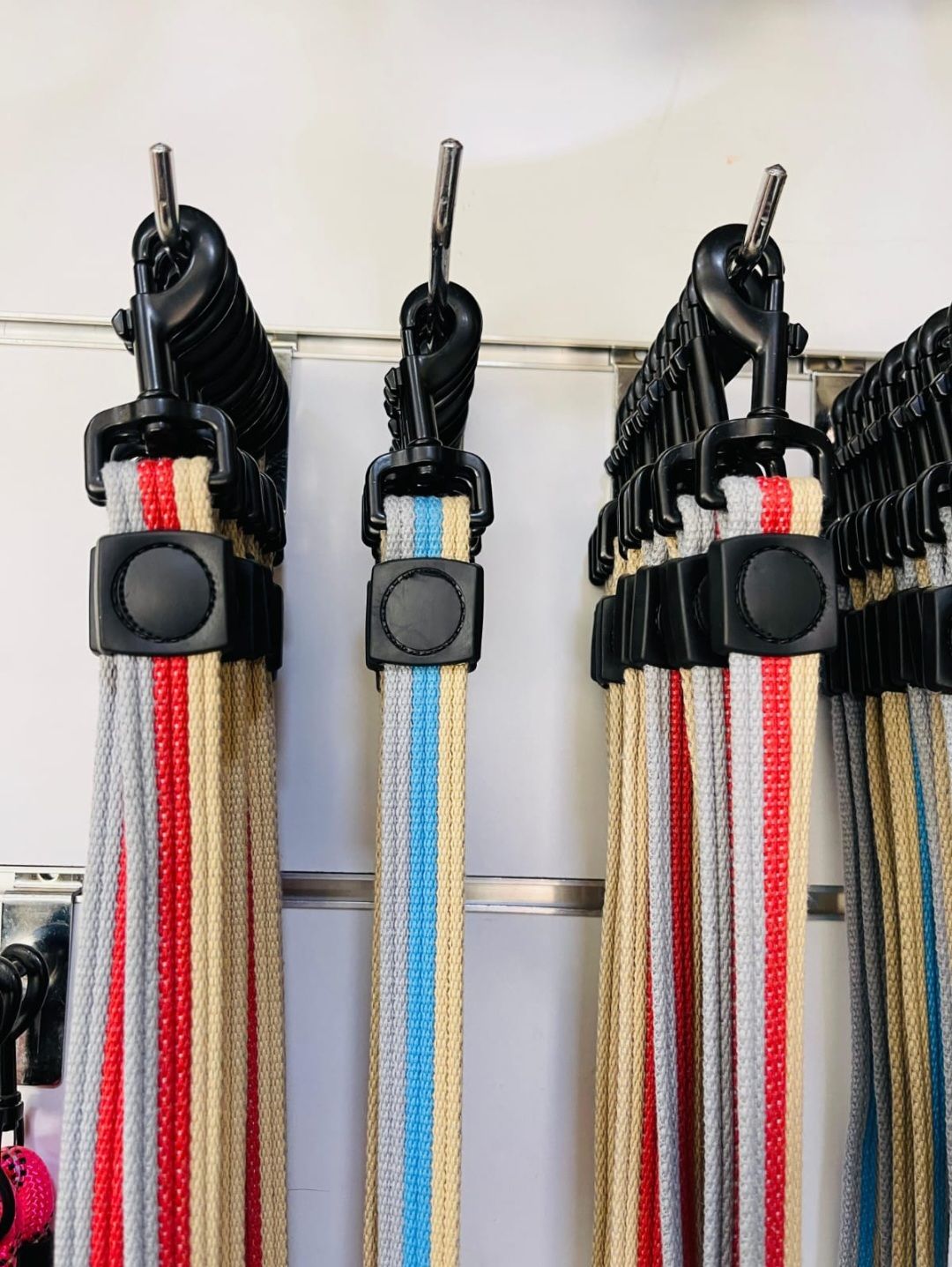 1.8M Dog Leash