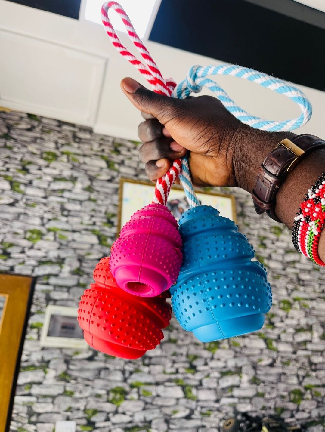 Tough Kong Chewing Toy