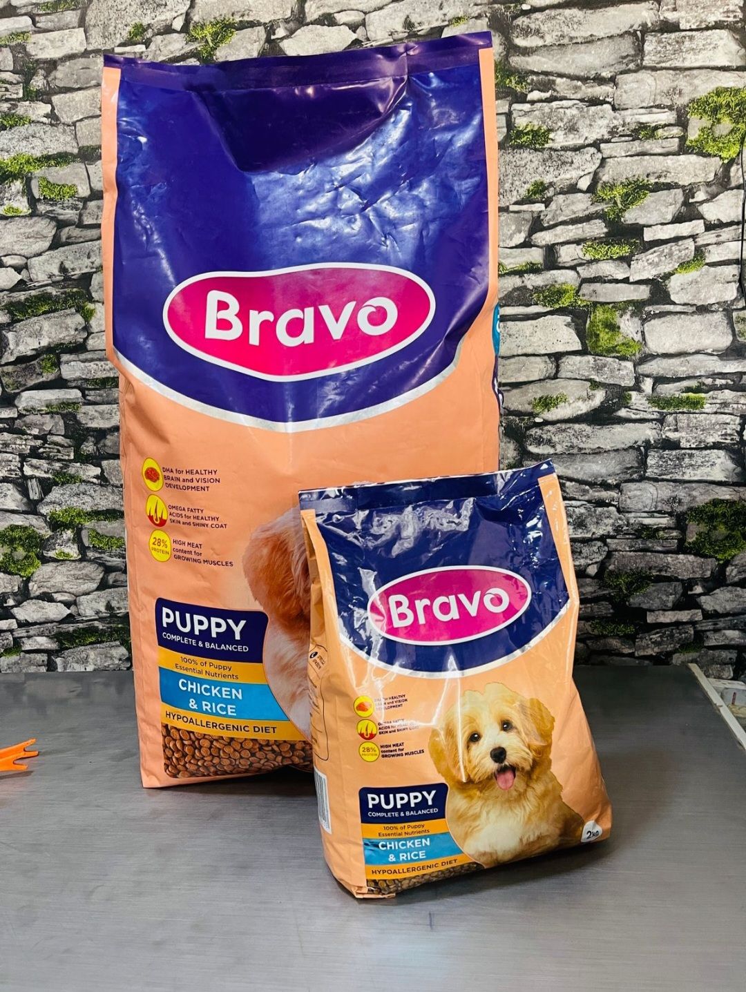 Bravo Puppy